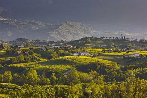 Hills of the Conegliano Valdobbiadene Prosecco Docg