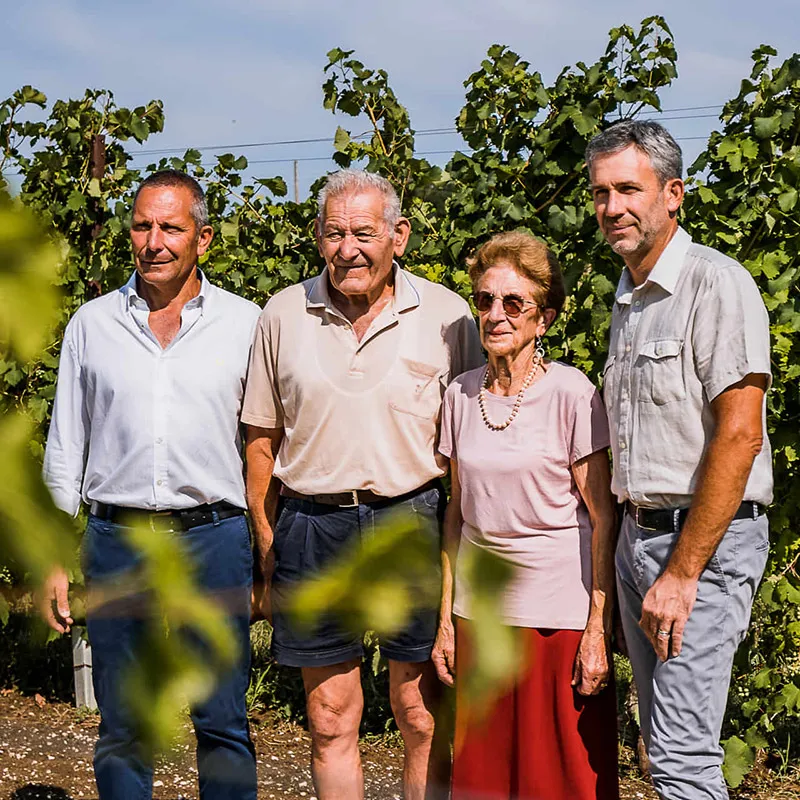 The history of the Doro family, wine producers in the hills between Vittorio Veneto and Conegliano.